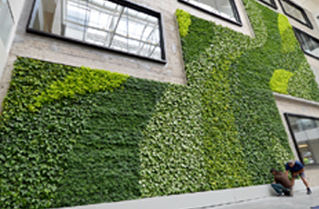 terrace gardens in chennai, chennai landscaping,chennai terrace gardens, chennai gardening, swimming pool maintenance in chennai,